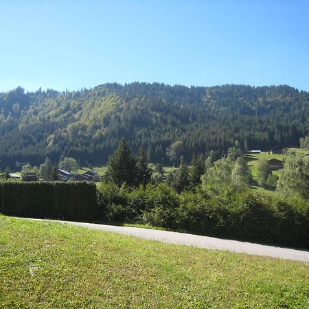 Charmant Studio Avec Terrasse Et Wifi A La Clusaz - Fr-1-459-64 Экстерьер фото