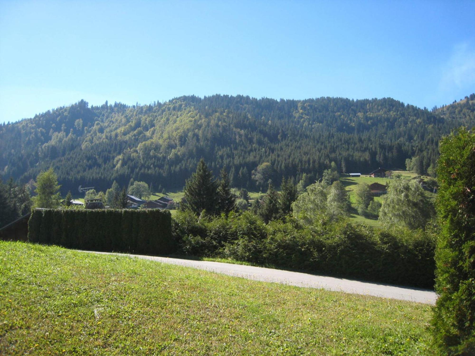 Charmant Studio Avec Terrasse Et Wifi A La Clusaz - Fr-1-459-64 Экстерьер фото
